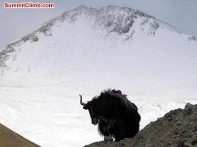 everest climb New tingri